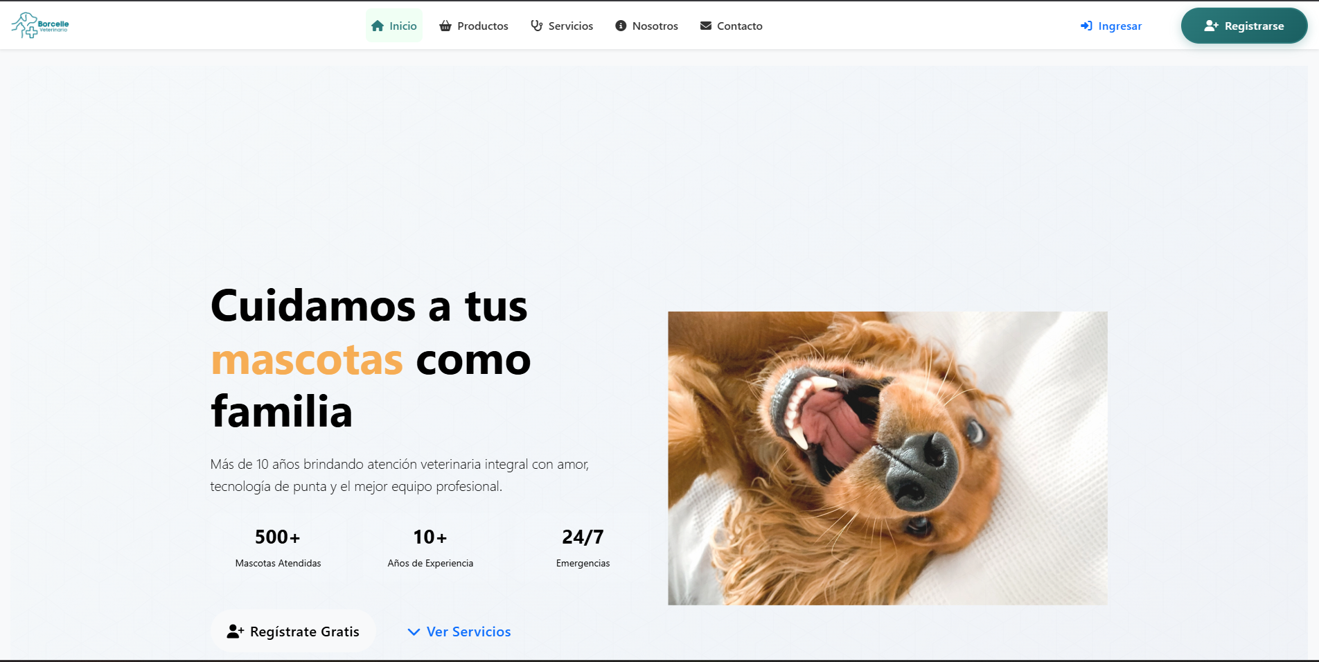 Sistema web de la veterinaria Borcelle